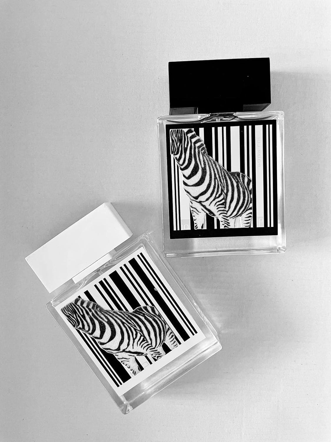 Rumz al Rasasi Zebrafrauen von Rasasi 