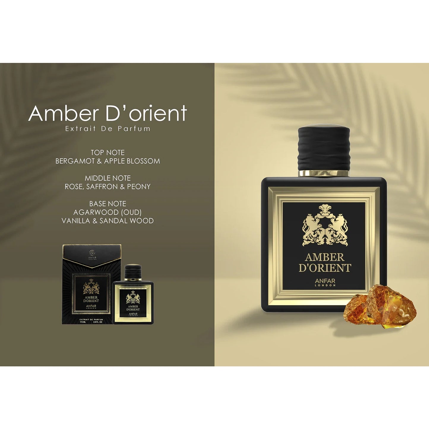 Anfar Amber DOrient 115ml Extrait de Parfum note chart image