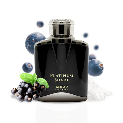 Anfar Platinum Shade Pour Homme 100ml EDP with fruity notes