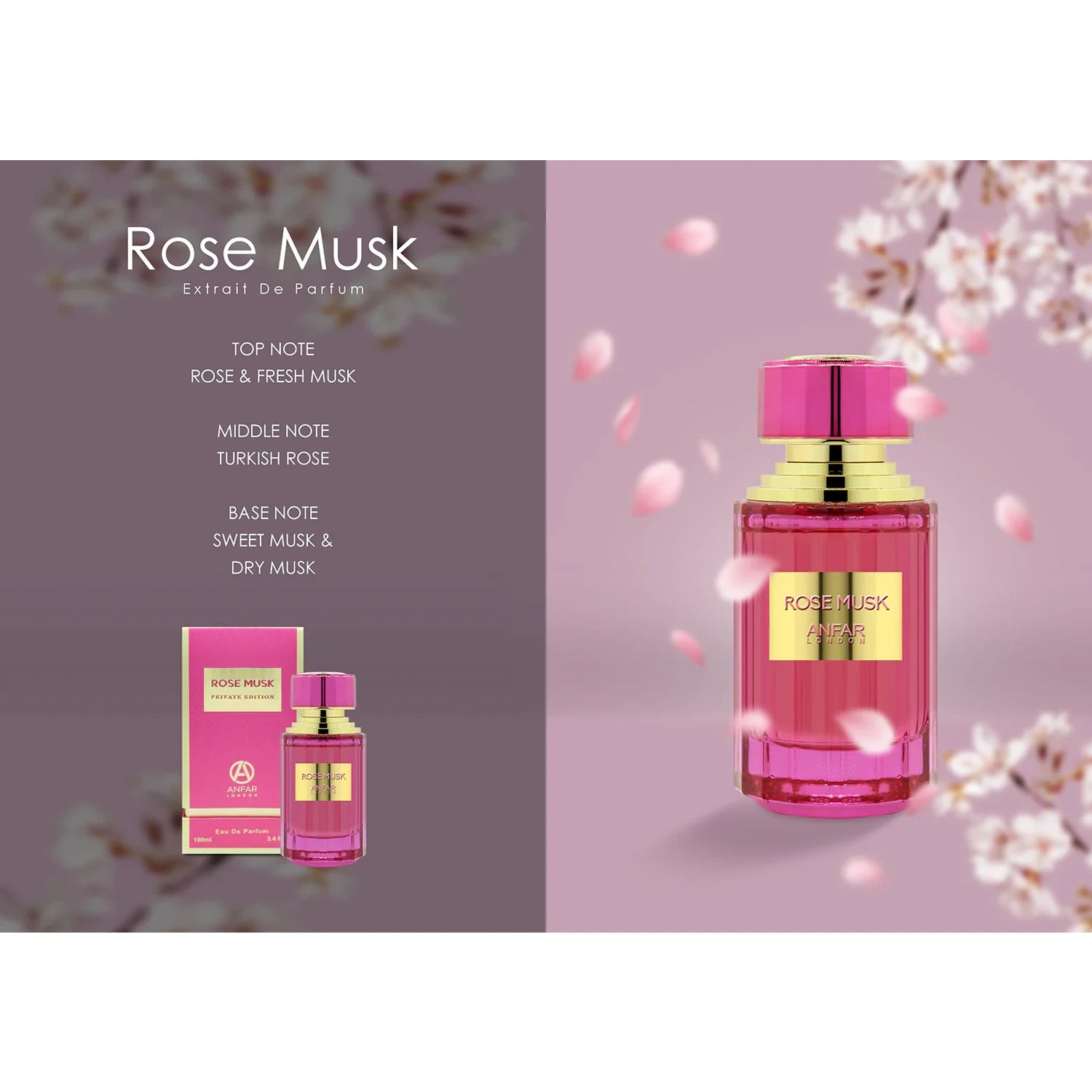 Anfar Rose Musk 100ml EDP fragrance breakdown layout