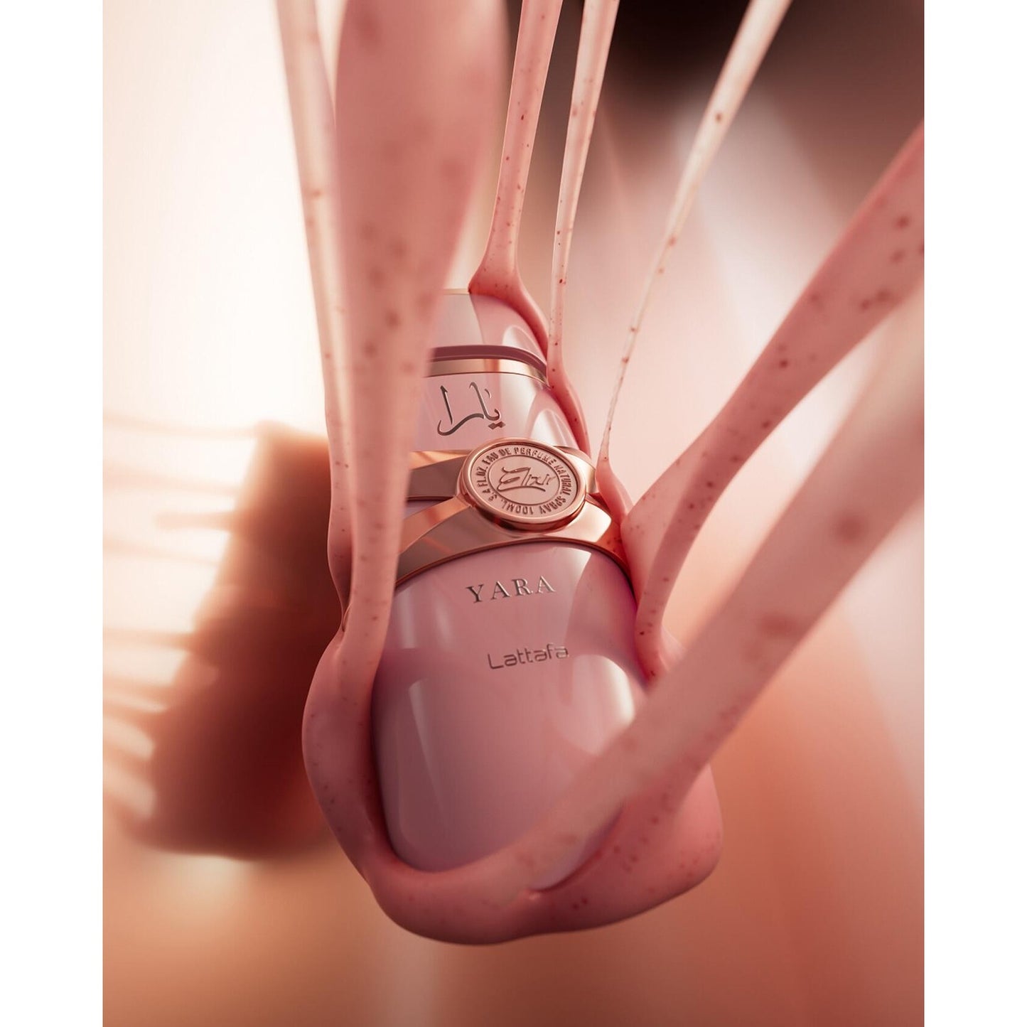 Lattafa Yara Elixir 100ml EDP For Women bottle close up