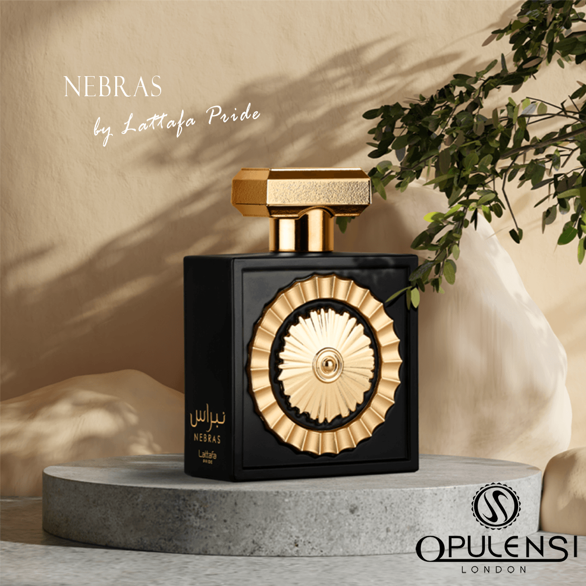 Nebras Lattafa Pride 100 ml EDP (Eau de Parfum) von Lattafa Perfumes Unisex 