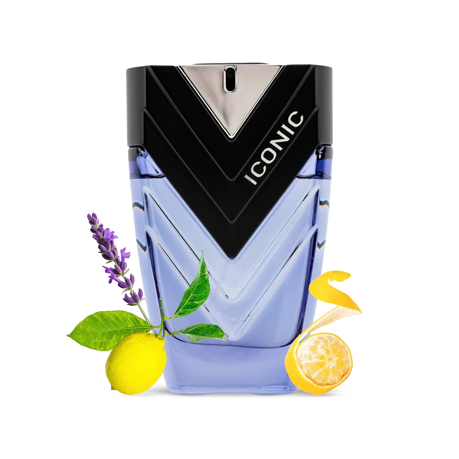 Sapil Iconic 100ml Eau de Parfum with top note ingredients