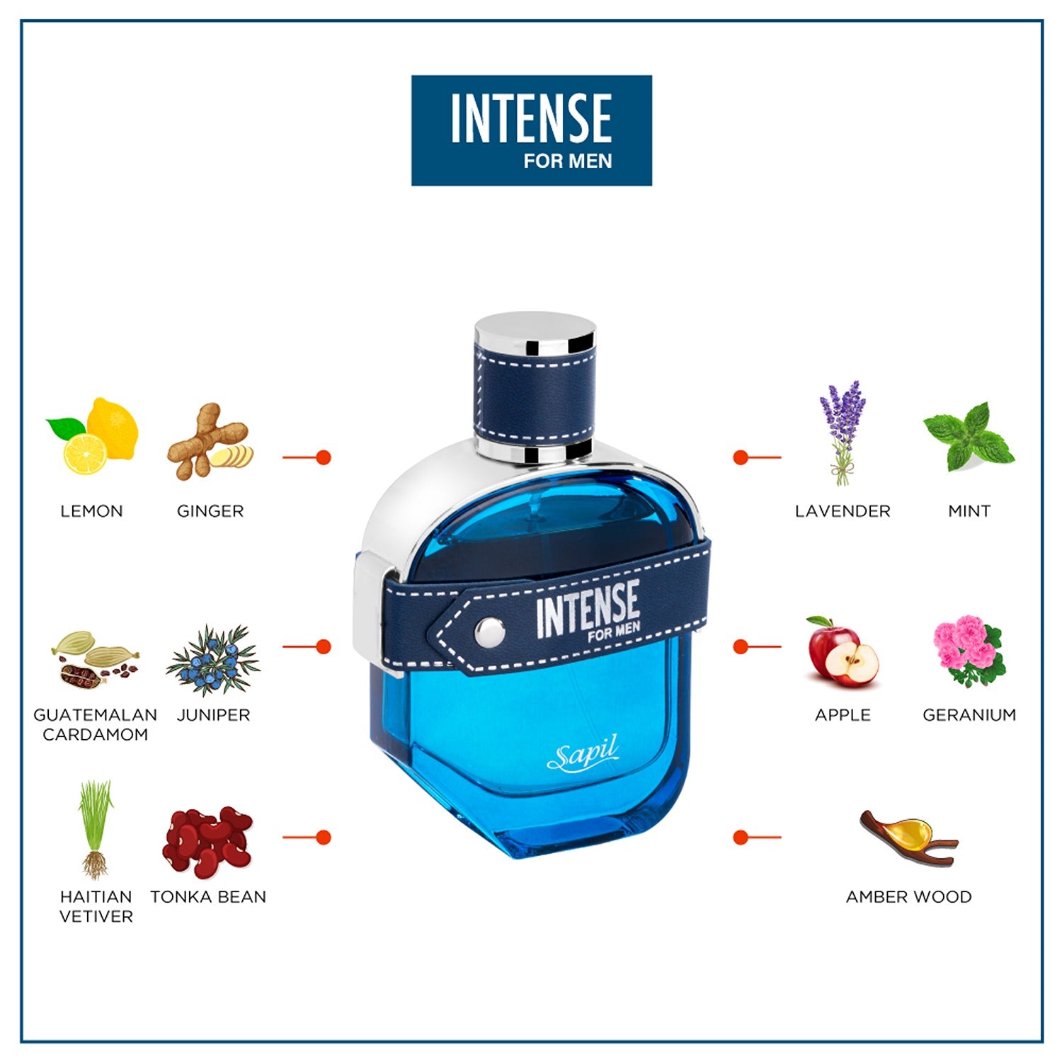 Sapil Intense Man 100ml Eau de Toilette notes chart visual