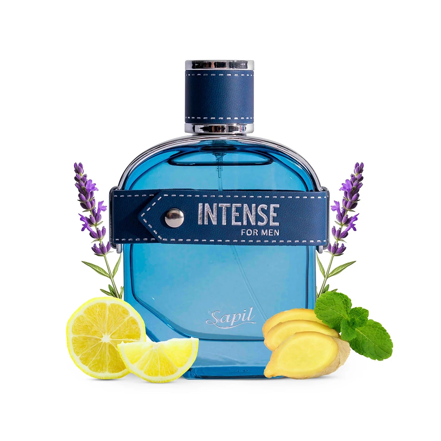 Sapil Intense Man 100ml Eau de Toilette top notes graphic