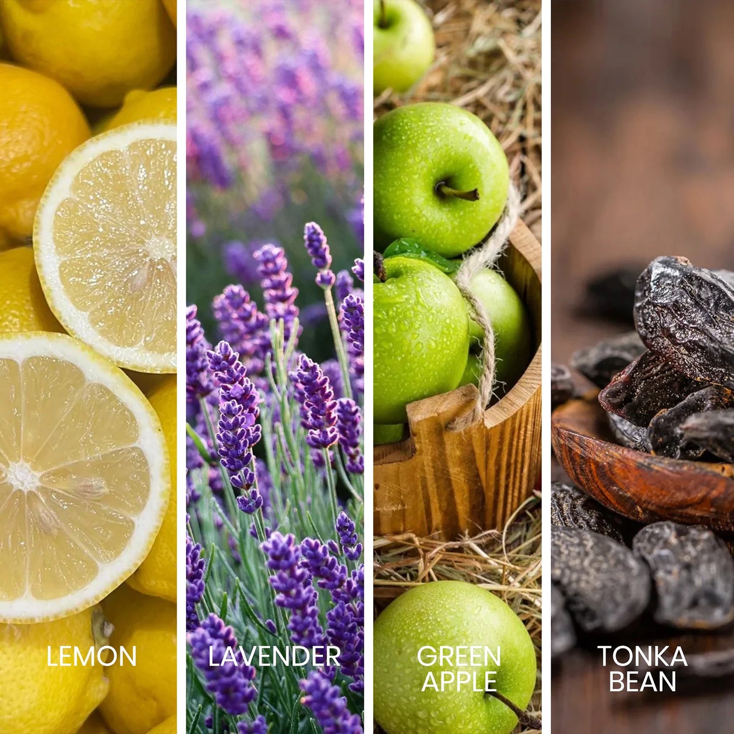 Sapil Intense Man 100ml Eau de Toilette vibrant ingredients collage