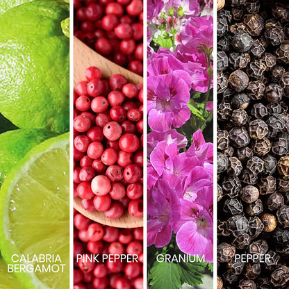 Sapil Rave Eau de Toilette 100ml citrus and spice ingredient notes