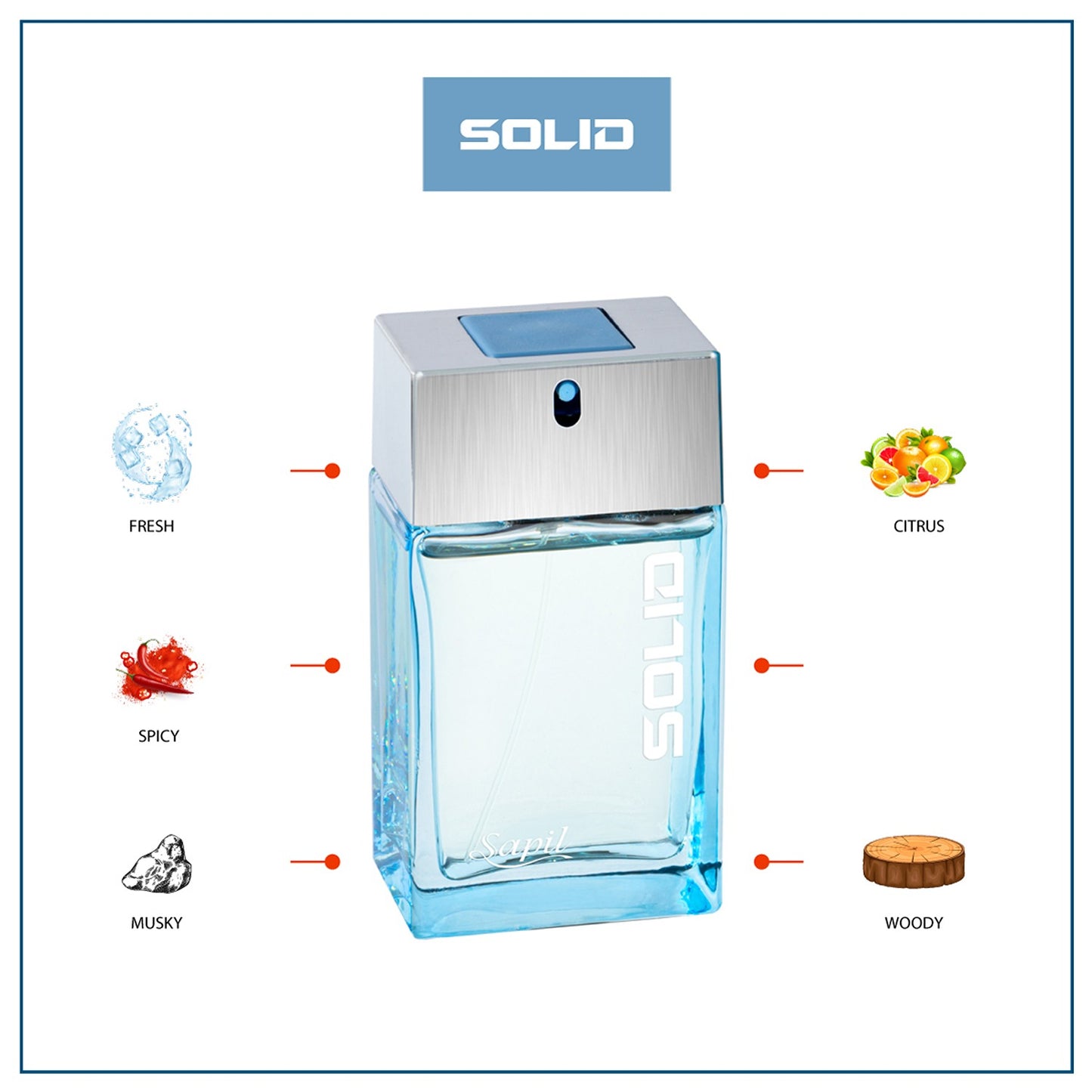 Sapil Solid 100ml EDT Mens fragrance breakdown with scent notes