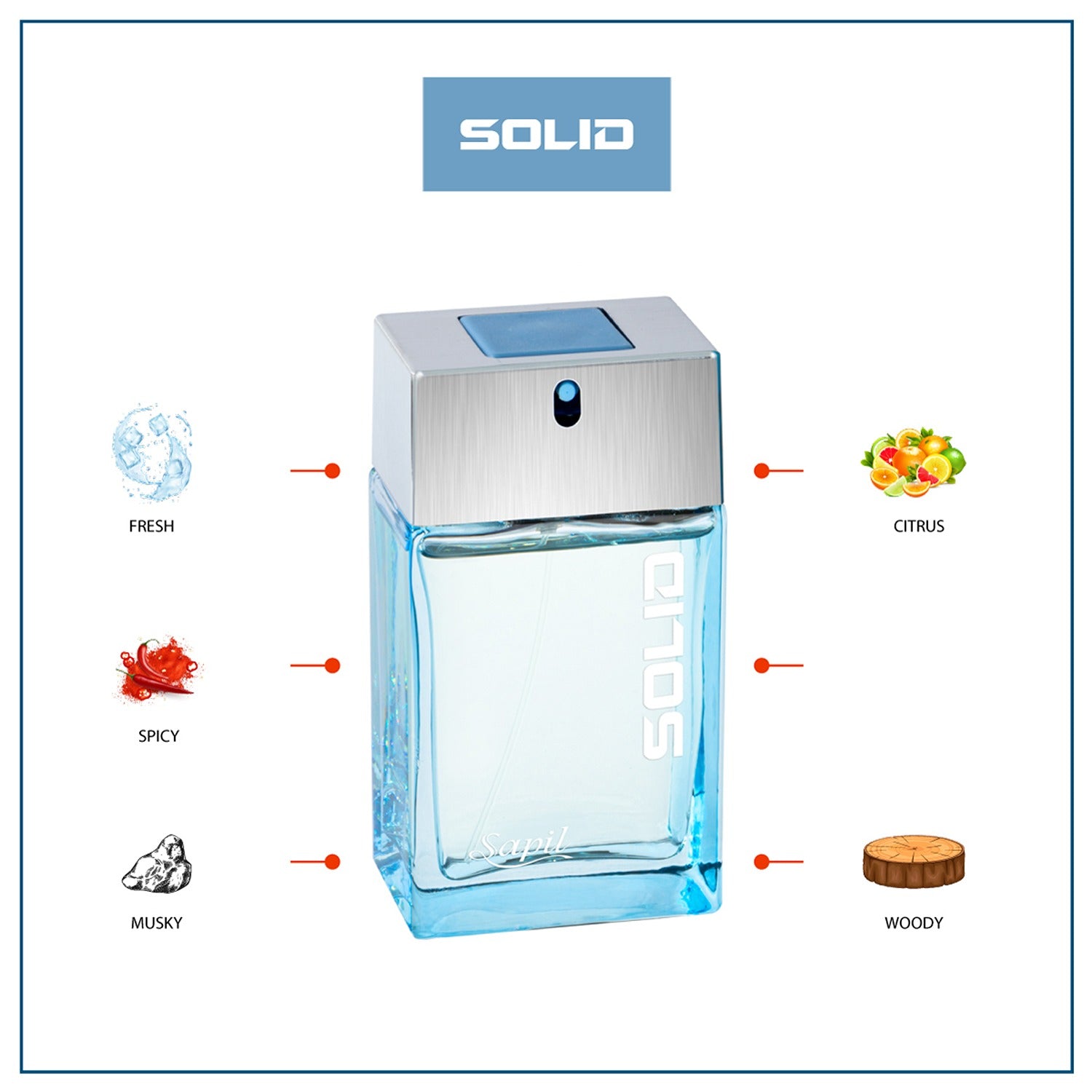 Sapil Solid 100ml EDT Mens fragrance breakdown with scent notes