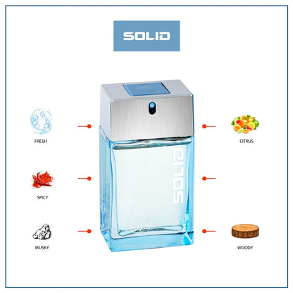 Sapil Solid 100ml EDT Mens fragrance breakdown with scent notes