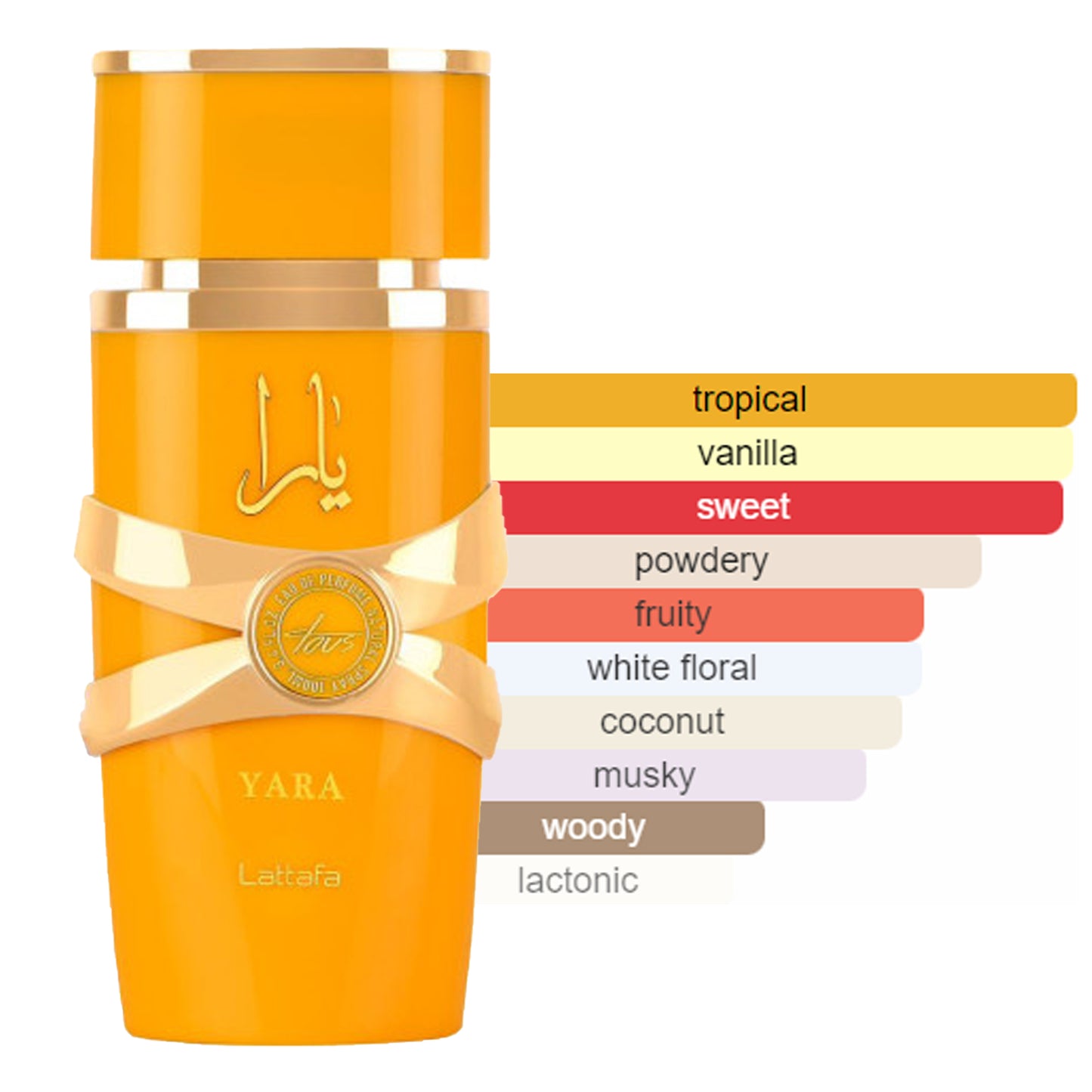 Yara Tous EDP 100ml By Lattafa Perfume fragrance scent profile diagram