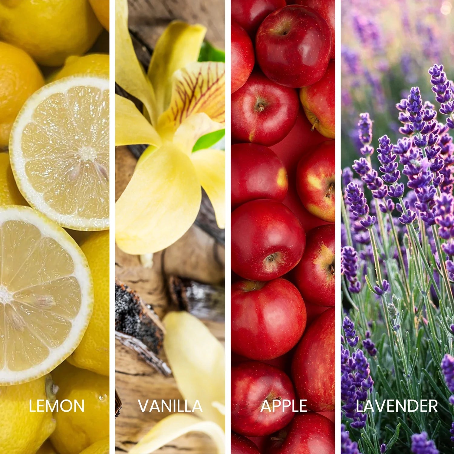 apil Iconic 100ml Eau de Parfum ingredients collage